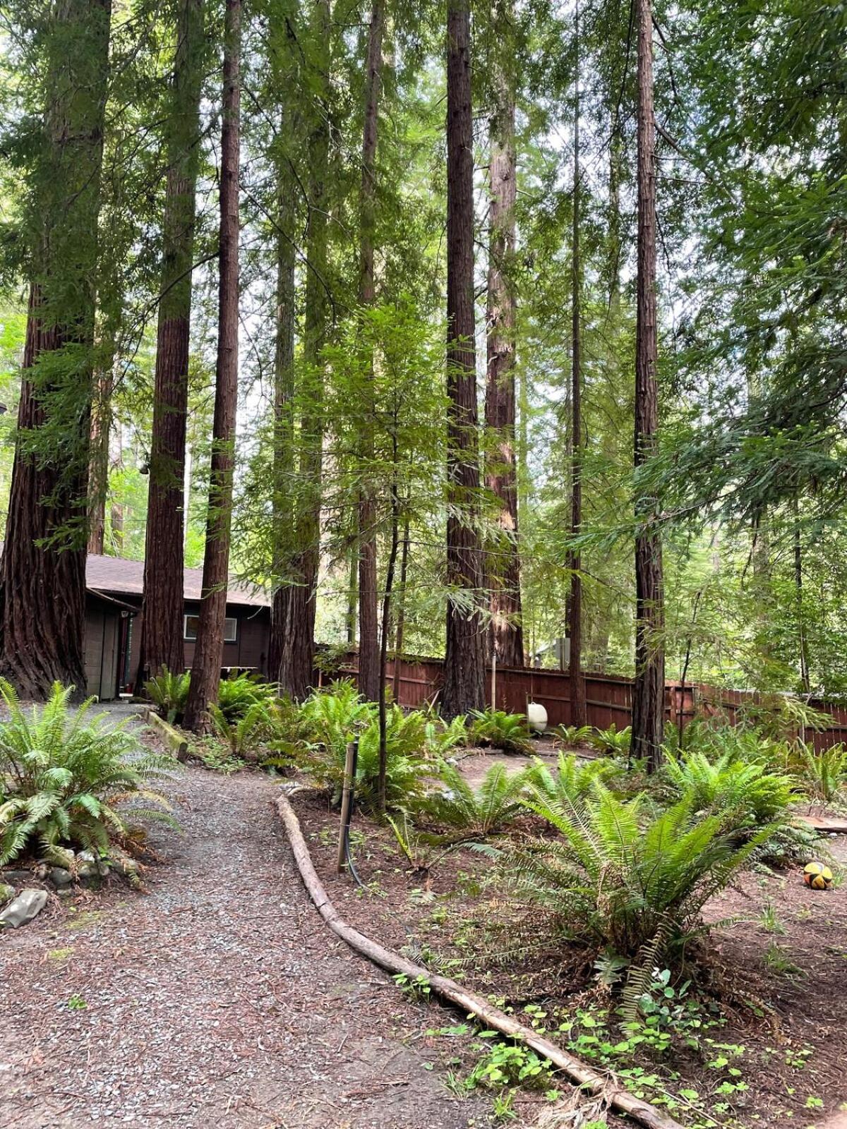 The Groves At Redway Beach - Studio Buitenkant foto